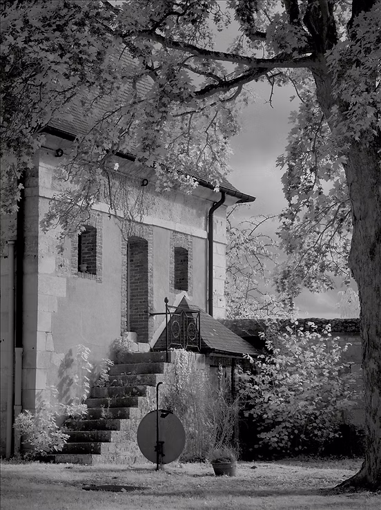 Highly Commended: Idyll - Mike Brown